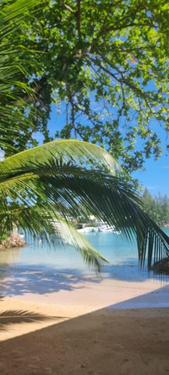Estudi Doble Deluxe a Le Port Guest House